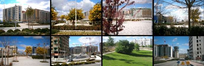 Variedad de calles y espacios urbanos en Valdebebas_Marzo2013